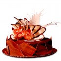 Tort Torino